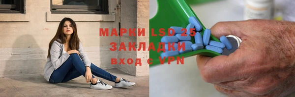 спиды Богородицк