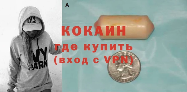 спиды Богородицк