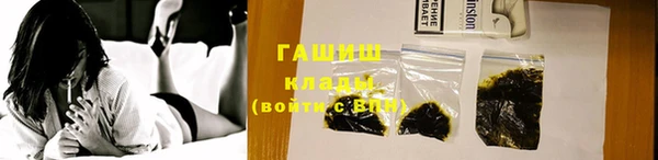 спиды Богородицк