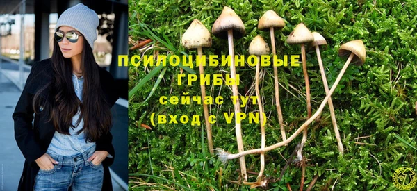 спиды Богородицк