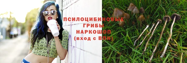 хмурый Богородск