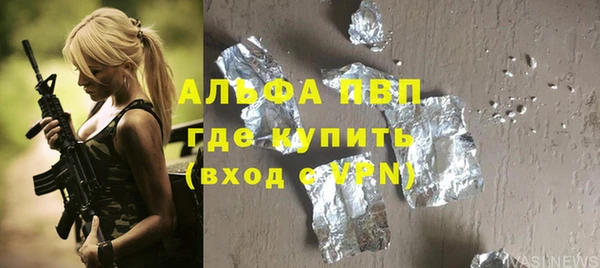 спиды Богородицк