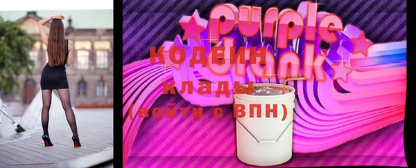 спиды Богородицк