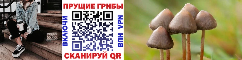 Купить  Слюдянка  Галлюциногенные грибы GOLDEN TEACHER 